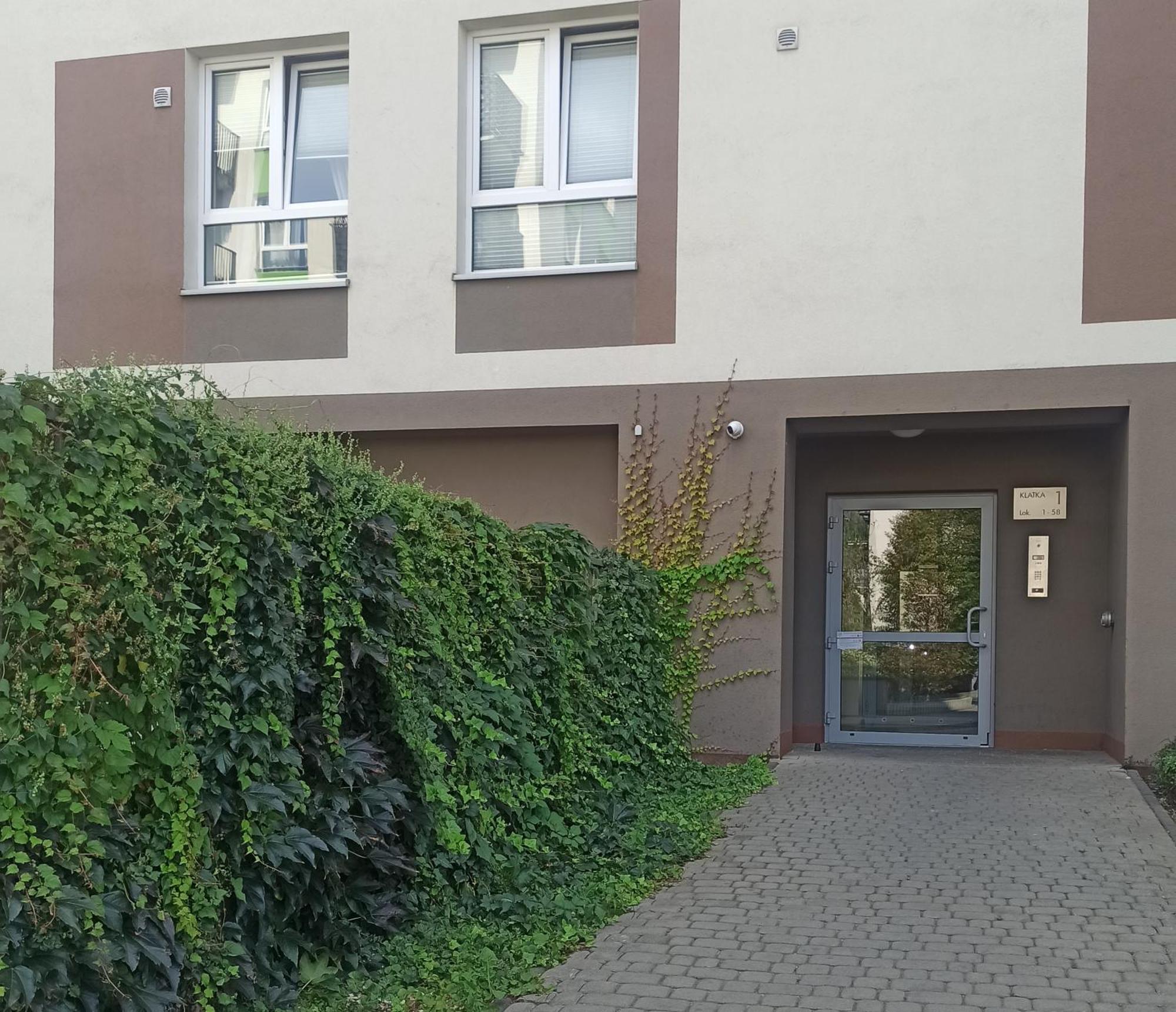 Apartament Złota Kobieta